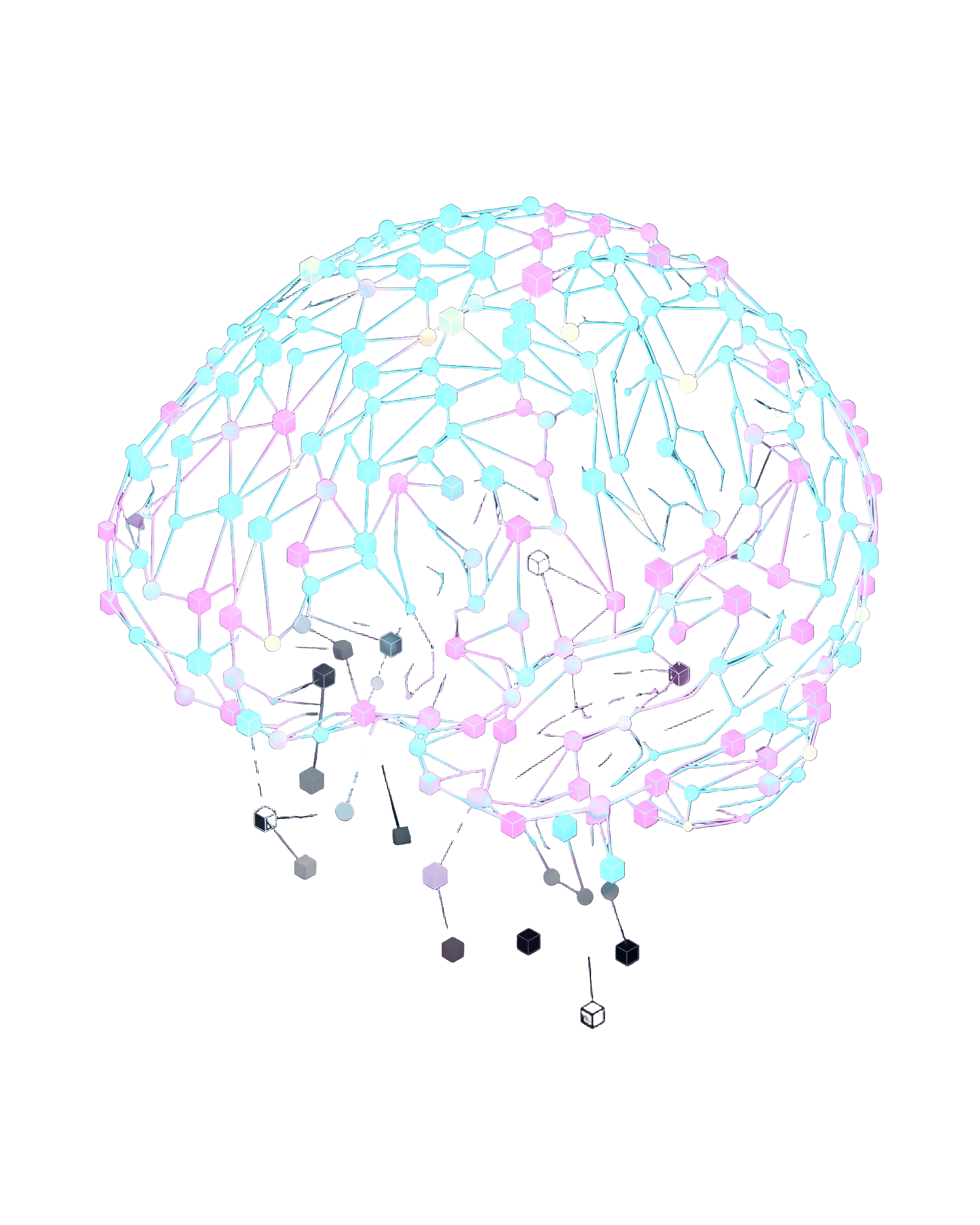 Neural Network Dropout
