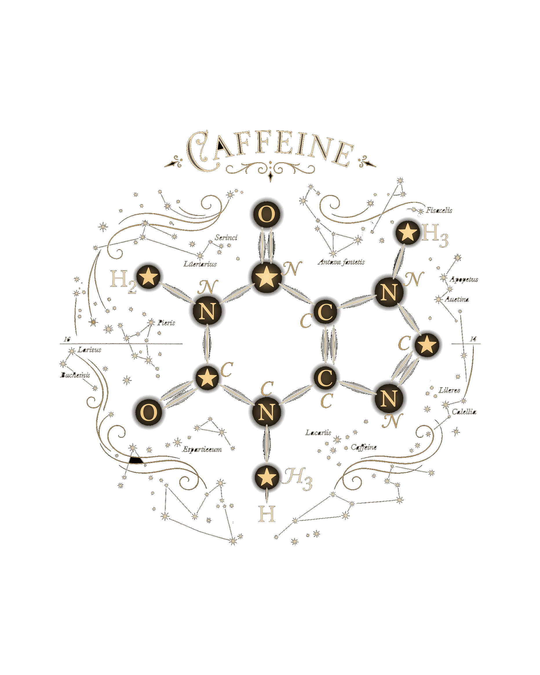 Caffeine Constellation