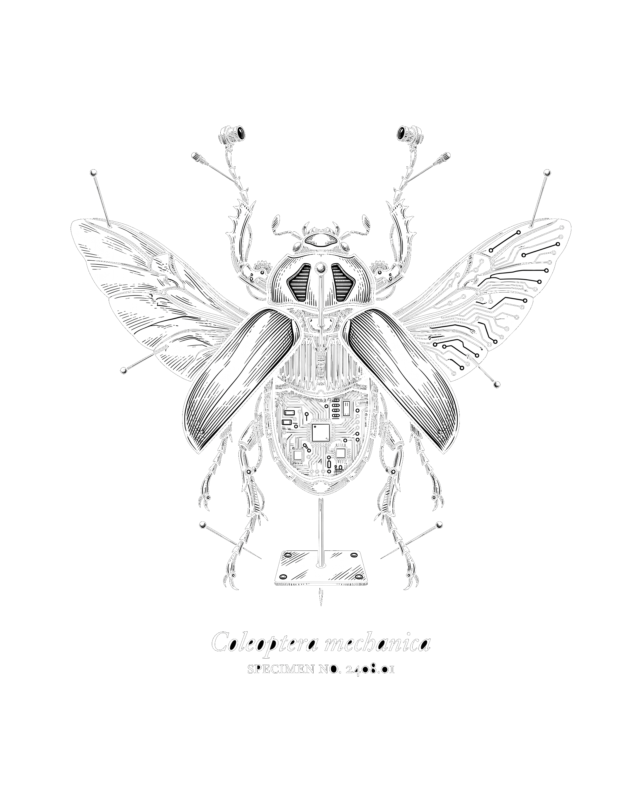 Coleoptera Mechanica