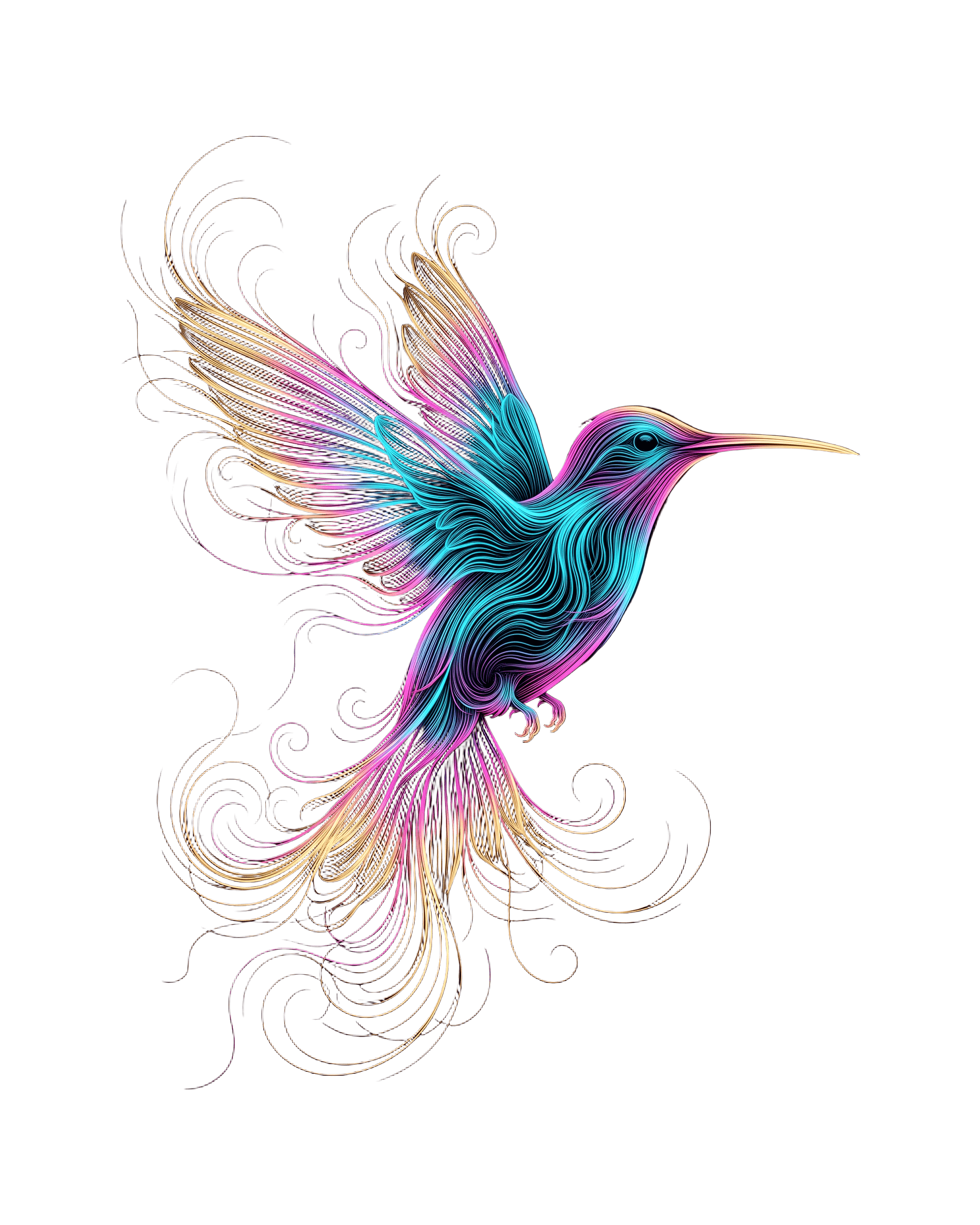 Flow Field