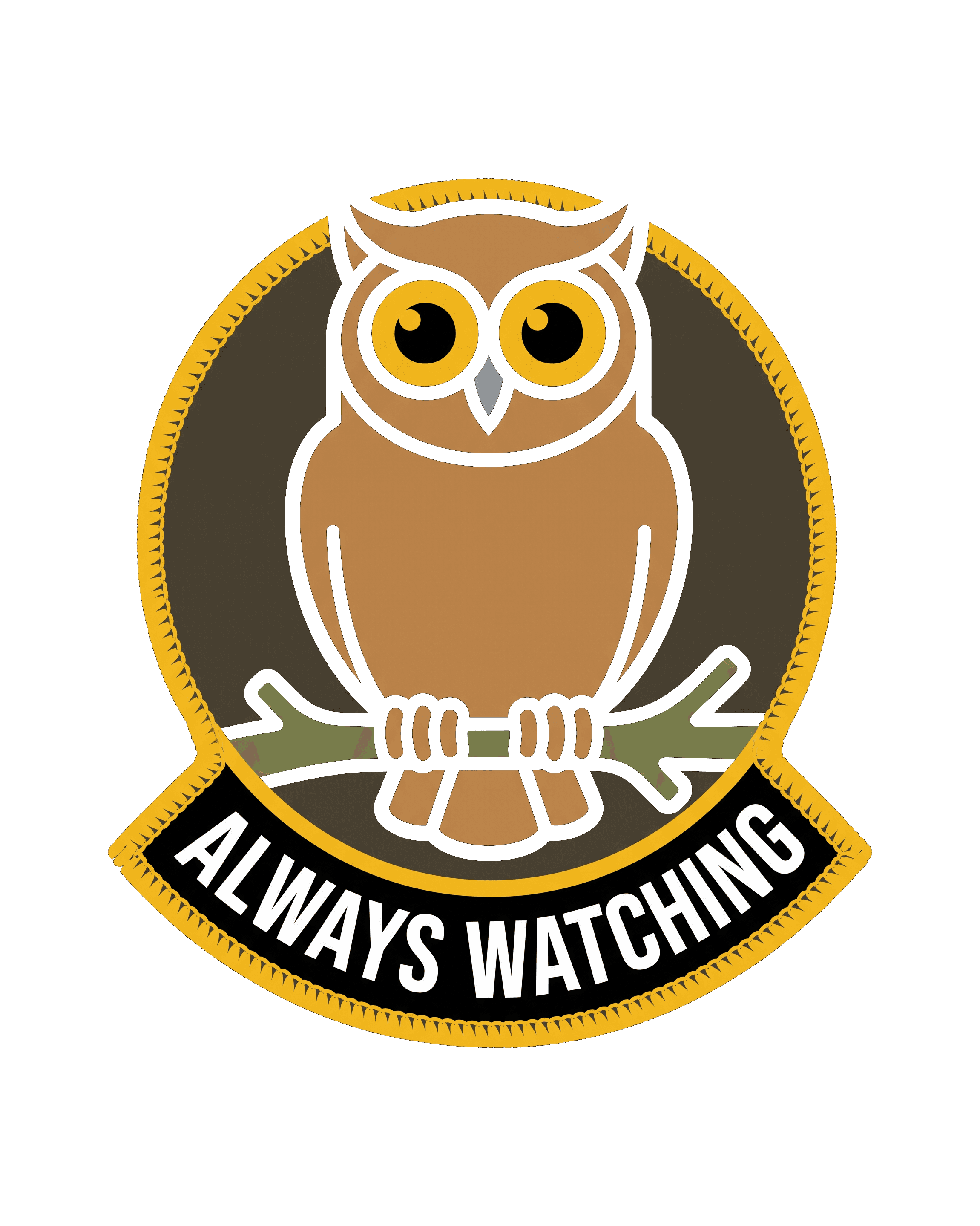 Overwatch Owl